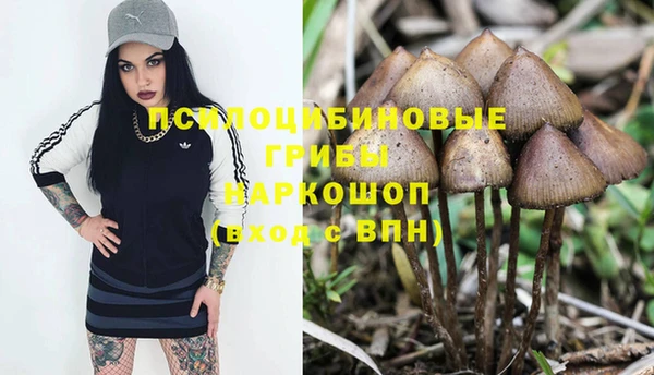 герыч Заводоуковск