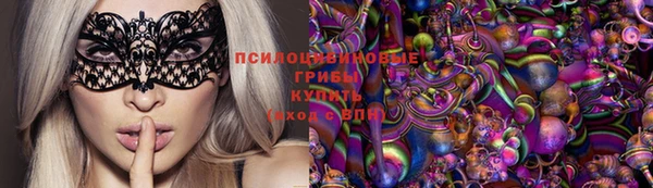 мдпв Заволжье